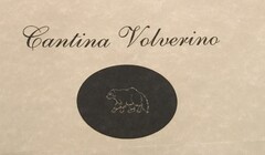 Cantina Volverino