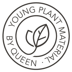 YOUNG PLANT MATERIAL By Queen