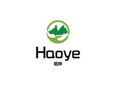 Haoye