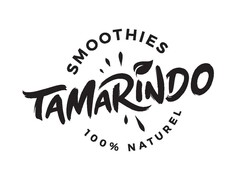 Smoothies Tamarindo 100% naturel