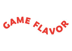 GAME FLAVOR