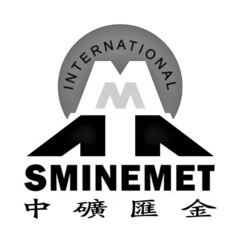 SMINEMET INTERNATIONAL M