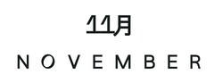 11 NOVEMBER