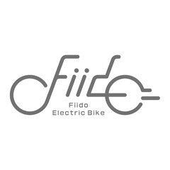 FIIDO  ELECTRIC BIKE