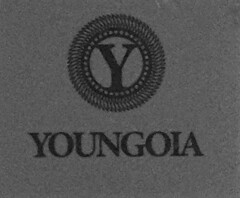 Y YOUNGOIA