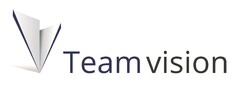 Team vision