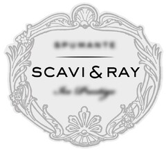 SCAVI & RAY