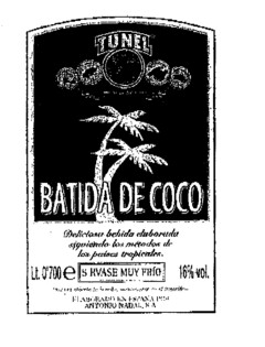 TUNEL BATIDA DE COCO