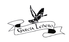 Garcia Leñero