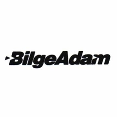 bilge adam