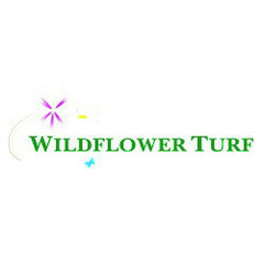 Wildflower Turf