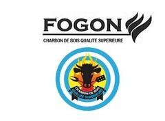 FOGON CHARBON DE BOIS QUALITE SUPERIEURE BOIS QUALITE SUURE CHARRO