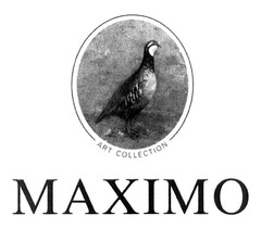 ART COLLECTION MAXIMO