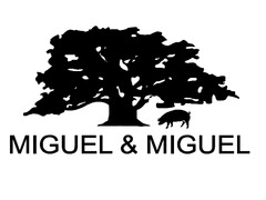 Miguel & Miguel