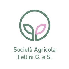 SOCIETÀ AGRICOLA FELLINI G. E S.