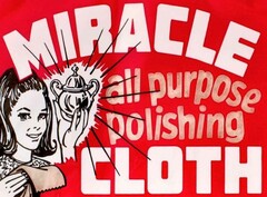MIRACLE all purpose polishing CLOTH