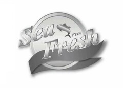 Sea Fresh Fish