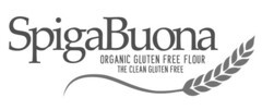 SPIGABUONA ORGANIC GLUTEN FREE FLOUR THE CLEAN GLUTEN FREE