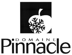 DOMAINE Pinnacle