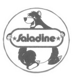 Saladine