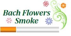 Bach Flowers Smoke