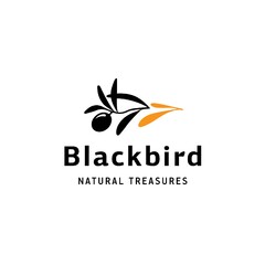 Blackbird NATURAL TREASURES