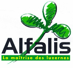 Alfalis La maîtrise des luzernes