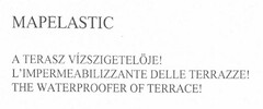 MAPELASTIC A TERASZ VÍZSZIGETELÖJE! L'IMPERMEABILIZZANTE DELLE TERRAZZE! THE WATERPROOFER OF TERRACE!