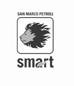 SAN MARCO PETROLI SMART