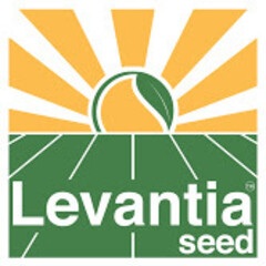 Levantia seed
