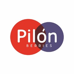 Pilón BERRIES