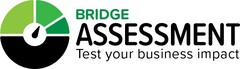 BRIDGE ASSESSMENT - TEST YOUR BUSINESS IMPACT