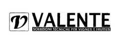 V VALENTE SOLUZIONI TECNICHE PER VIGNETI E FRUTTETI