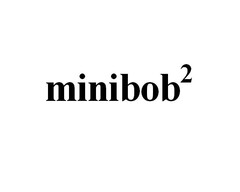 minibob2