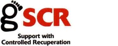 gSCR Support with Controlled Recuperation