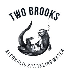 TWO BROOKS.  ALCOHOLIC SPARKLING WATER