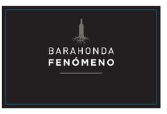 BARAHONDA FENOMENO