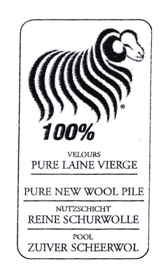 100% VELOURS PURE LAINE VIERGE PURE NEW WOOL PILE NUTZSCHICHT REINE SCHURWOLLE POOL ZUIVER SCHEERWOL