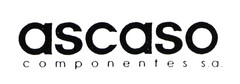 ascaso componentes s.a.