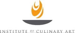 Institute of Culinary Art