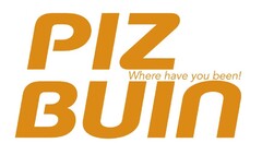 PIZ BUIN WHERE HAVE YOU BEEN!