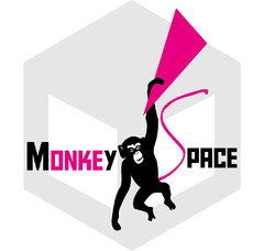 Monkey Space