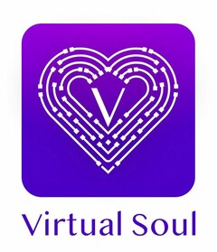 V Virtual Soul