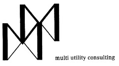 multi utility consulting