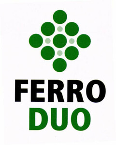 FERRO DUO