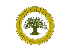 UN OLIVO