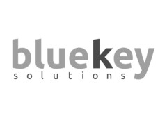 bluekey solutions