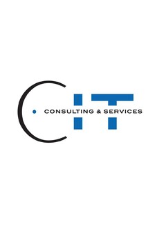 C. IT CONSULTING & SERVICES