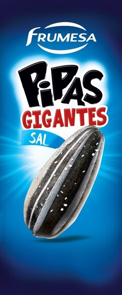 FRUMESA PIPAS GIGANTES SAL