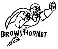 BROWN HORNET